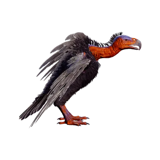 Vulture