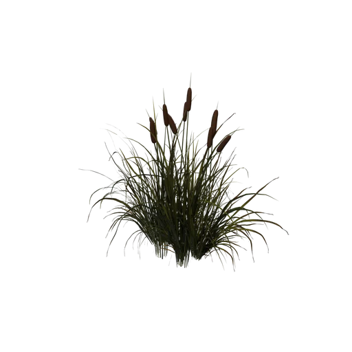 Cattail Cluster