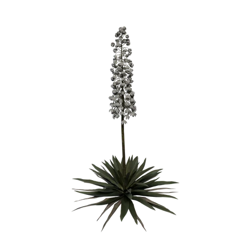 SM Yucca Flowered
