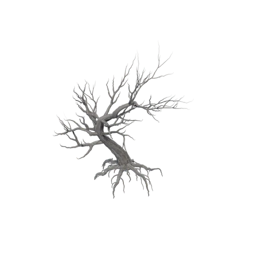 SM DeadTree Desert