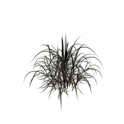 MGrass 01