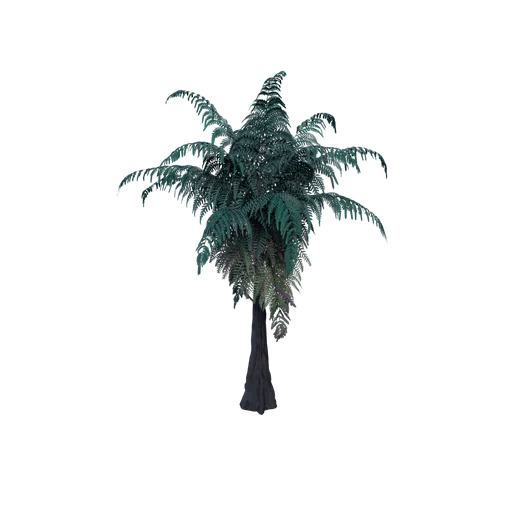 SM FernB