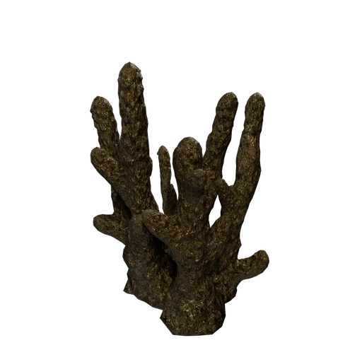 CoralStone-06