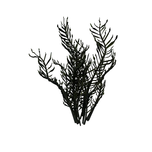 MyrioGreen