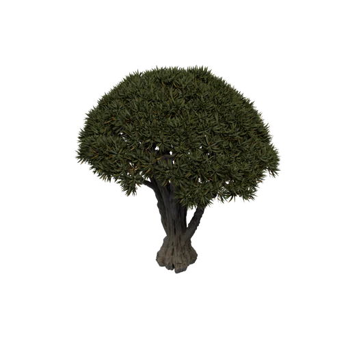 DragonTree