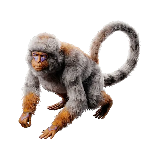 Mesopithecus
