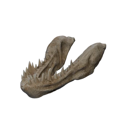 SM Bones Skull 1 Lower