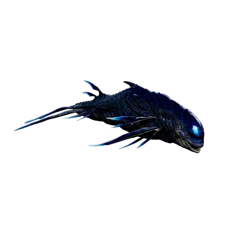 虛空海豚