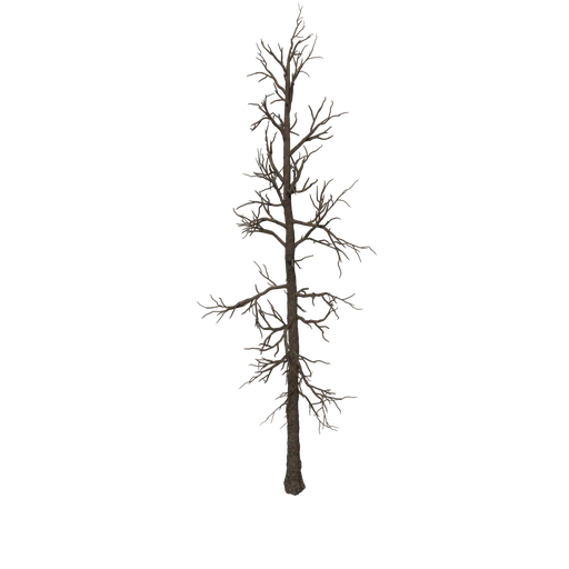 DeadPine 02