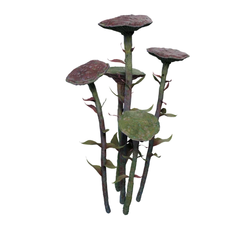 AquaticPlantLargeA