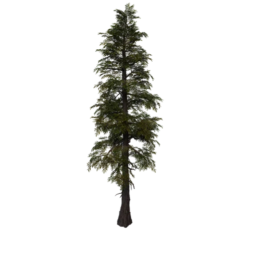 SM TreeG Sapling 02