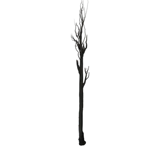 DeadPine 01