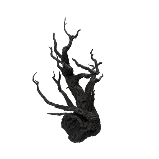 SM ObruerePontis A