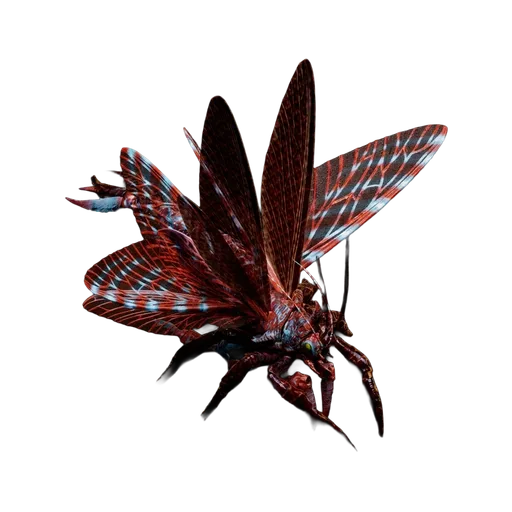 Rhyniognatha