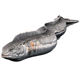 Elettroforo aberrante