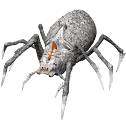 Aberrant Araneo