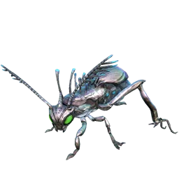 Water Jug Bug
