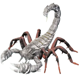 Aberrant Pulmonoscorpius