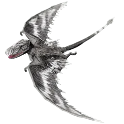 Dimorphodon aberrante