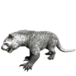 R-Thylacoleo