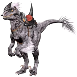 Raptor perdido