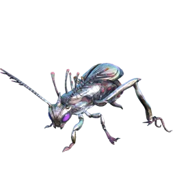 Oil Jug Bug