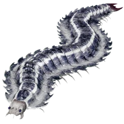 Aberrante Arthropluera