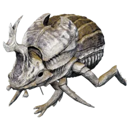 Aberrant Dung Beetle
