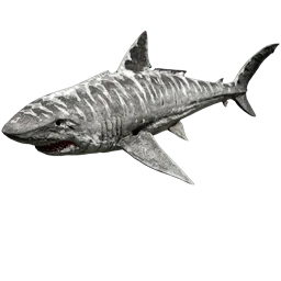 Megalodonte a strisce dorate