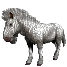 R-Equus
