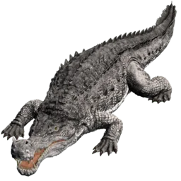 Aberrant Sarco