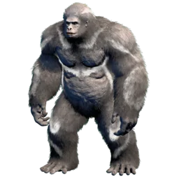 Aberrant Gigantopithecus