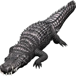 X-Deinosuchus