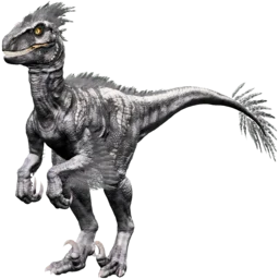 X-Raptor