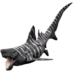X-Hélicoprion