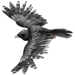 X-Argentavis