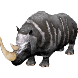 X-Rinoceronte lanoso