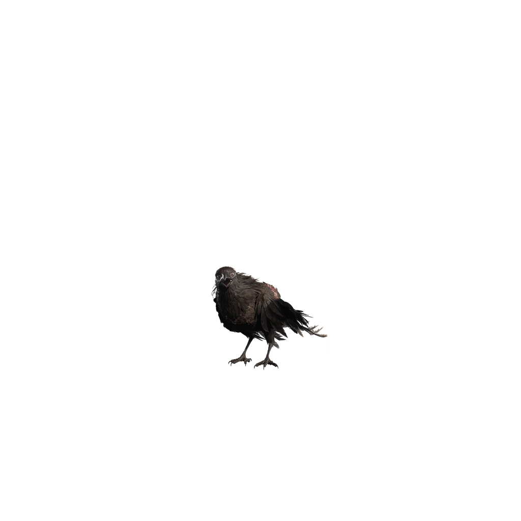 Crow