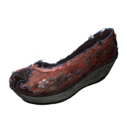 Embroidered Shoes