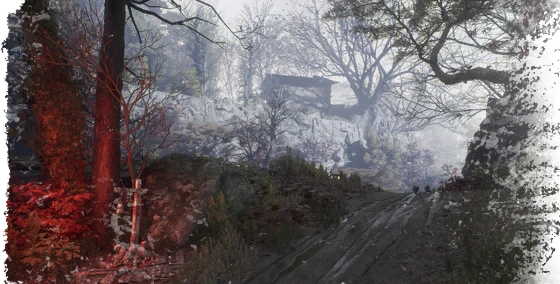 Ambush Trail