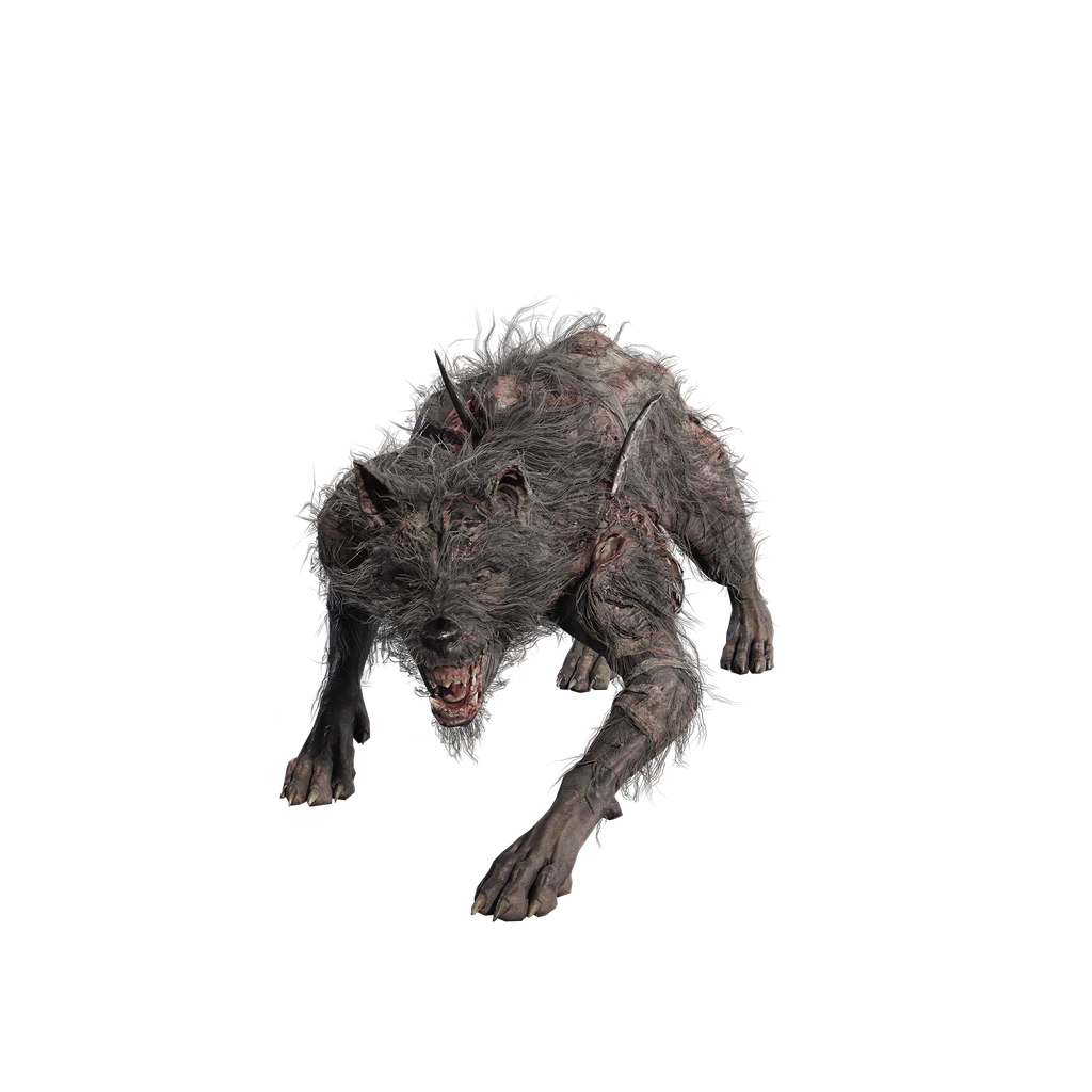 Frenzied Hound