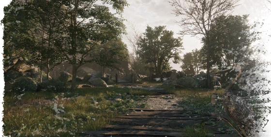 Place of Awakening