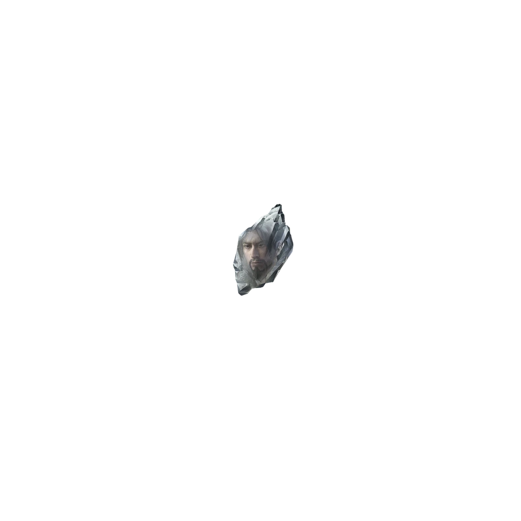 Skilled Healer's Memory