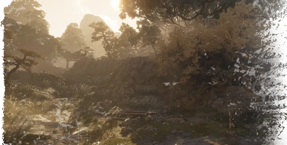 Sunset Path