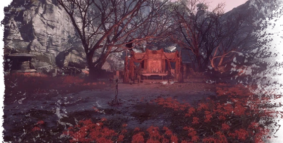 Flesh Lily Fields