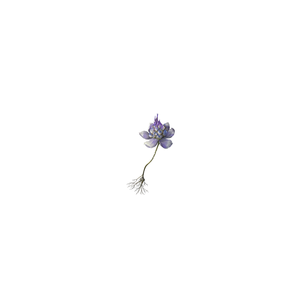 Violet Blossom