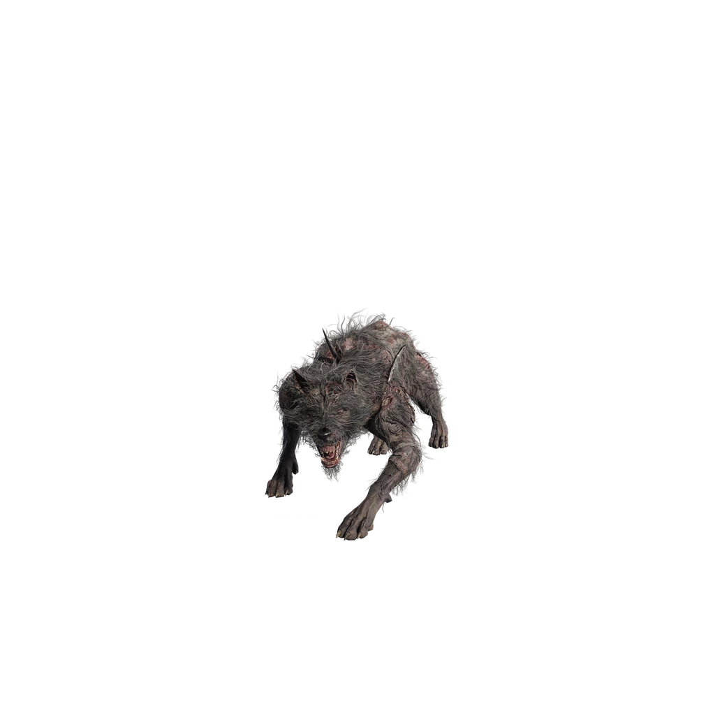 Frenzied Hound