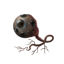 Eye of Insight