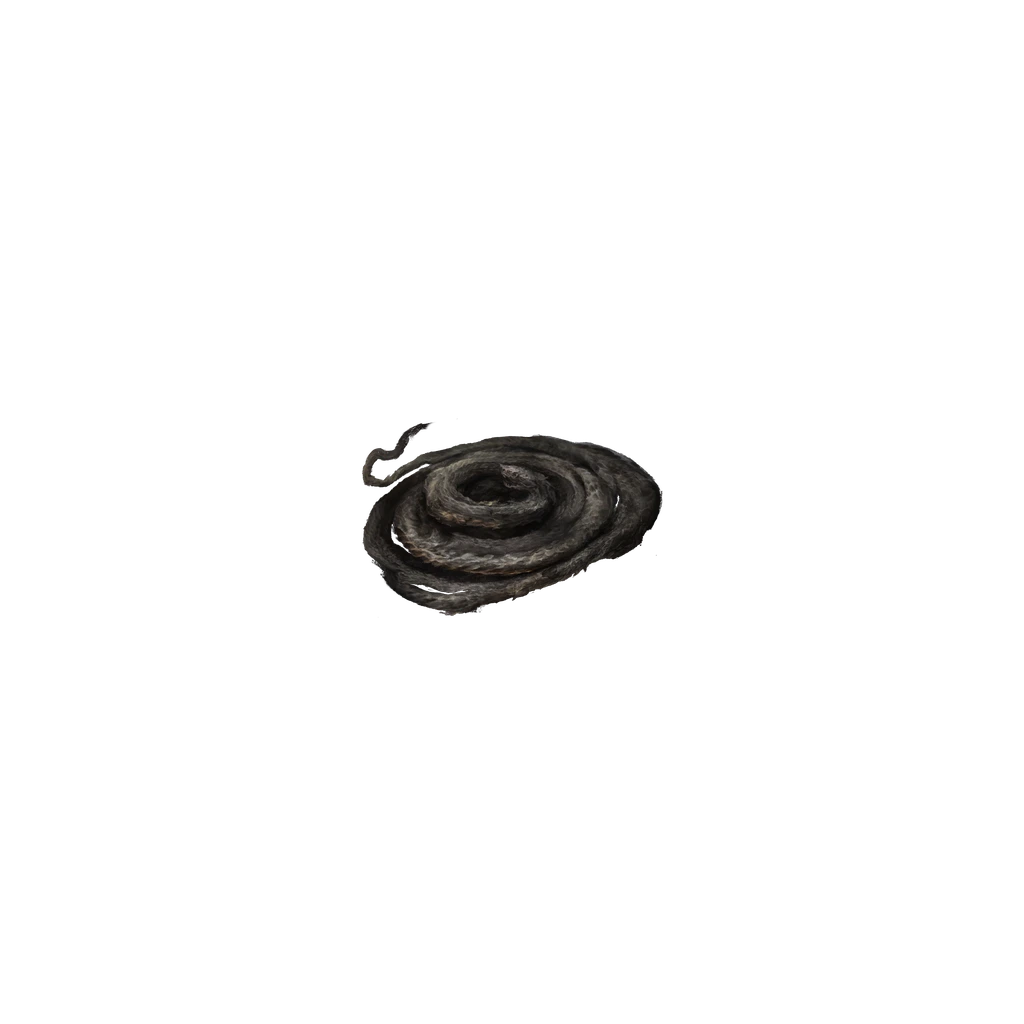 Serpent's Memory