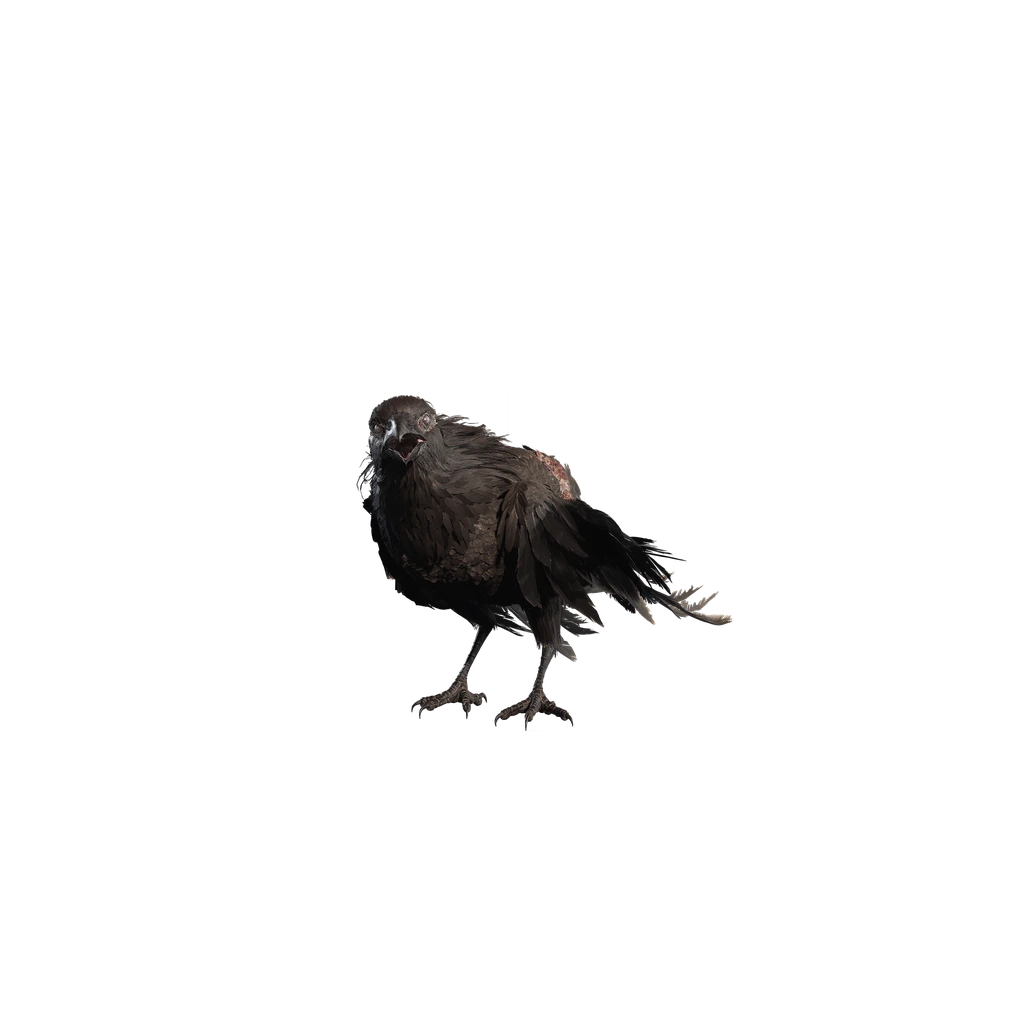 Crow